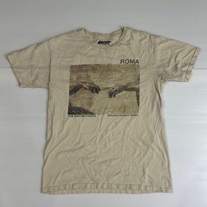 The Sistine Chapel Michelangelo Roma Shirt Artist Series T-Shirt Art Size Medium